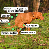 Complete Wellness Bundle