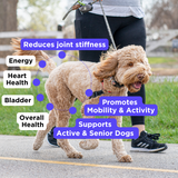 Mobility & Wellness Bundle