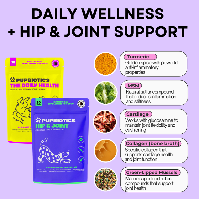 Mobility & Wellness Bundle