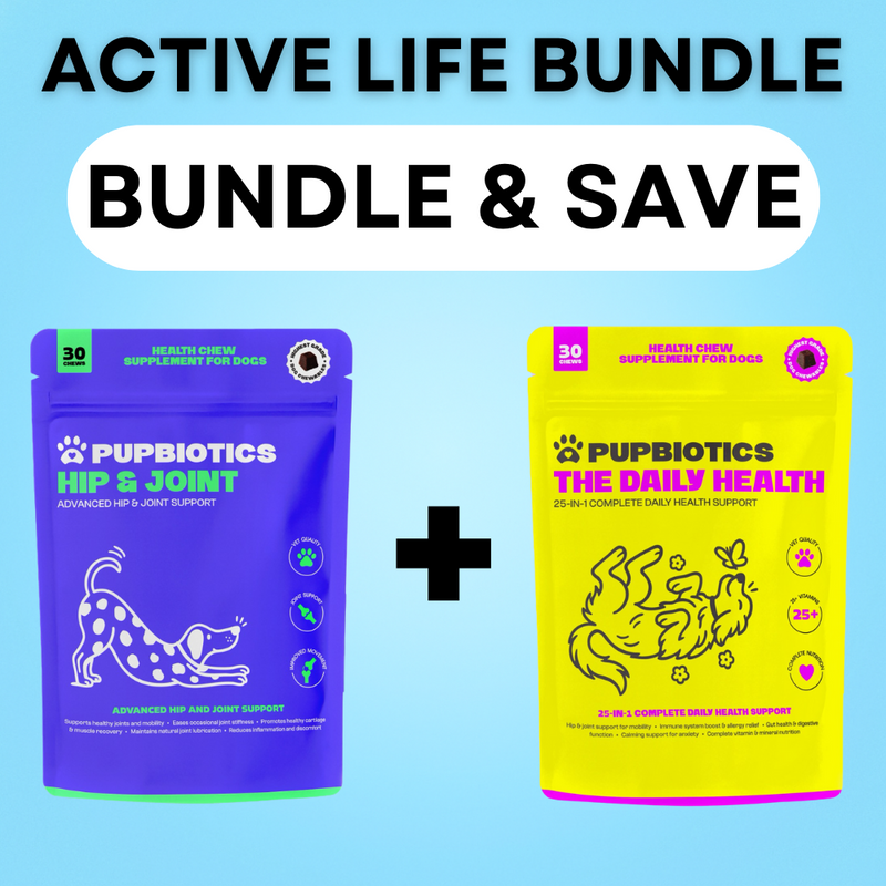 Mobility & Wellness Bundle