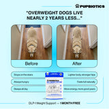 DLP-1 Weight Support