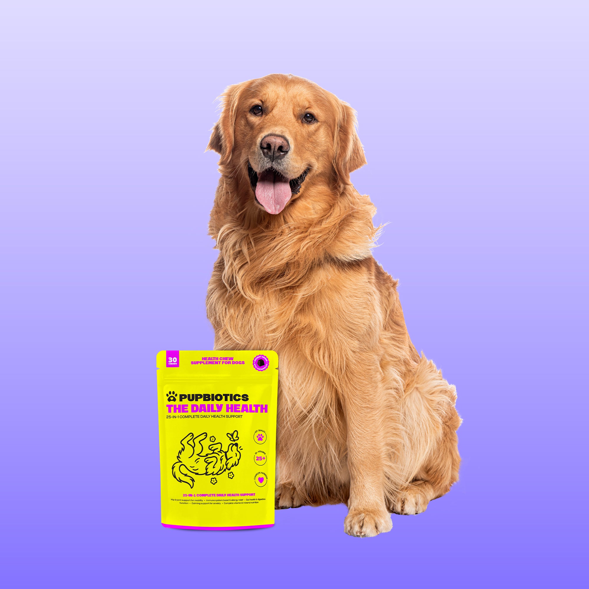 Golden retriever with The Daily Health pouch